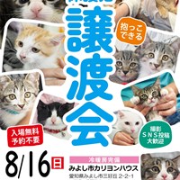 8/16(日)保護猫譲渡会　参加猫ご紹介