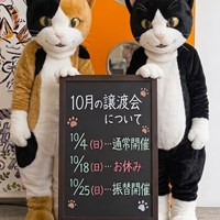 10月の保護猫譲渡会　日程変更のお知らせ