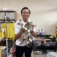 9/20(日)保護猫譲渡会のご案内