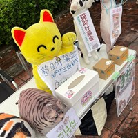 来る福招き猫まつりin瀬戸　ご支援に感謝