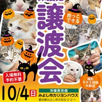 保護猫譲渡会のご案内