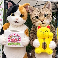 来る福招き猫まつりin瀬戸の猫助け募金