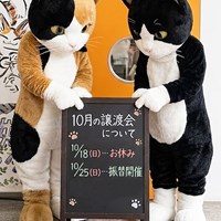 10月保護猫譲渡会のご案内