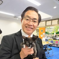 保護猫譲渡会