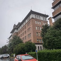 米政策に関するヒヤリング
